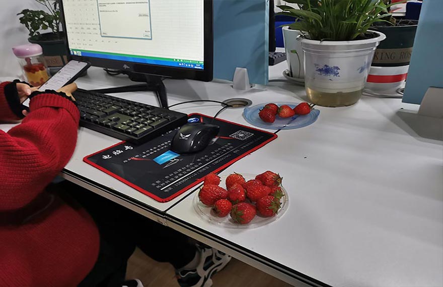 餐后水果-XSFAN电脑培训